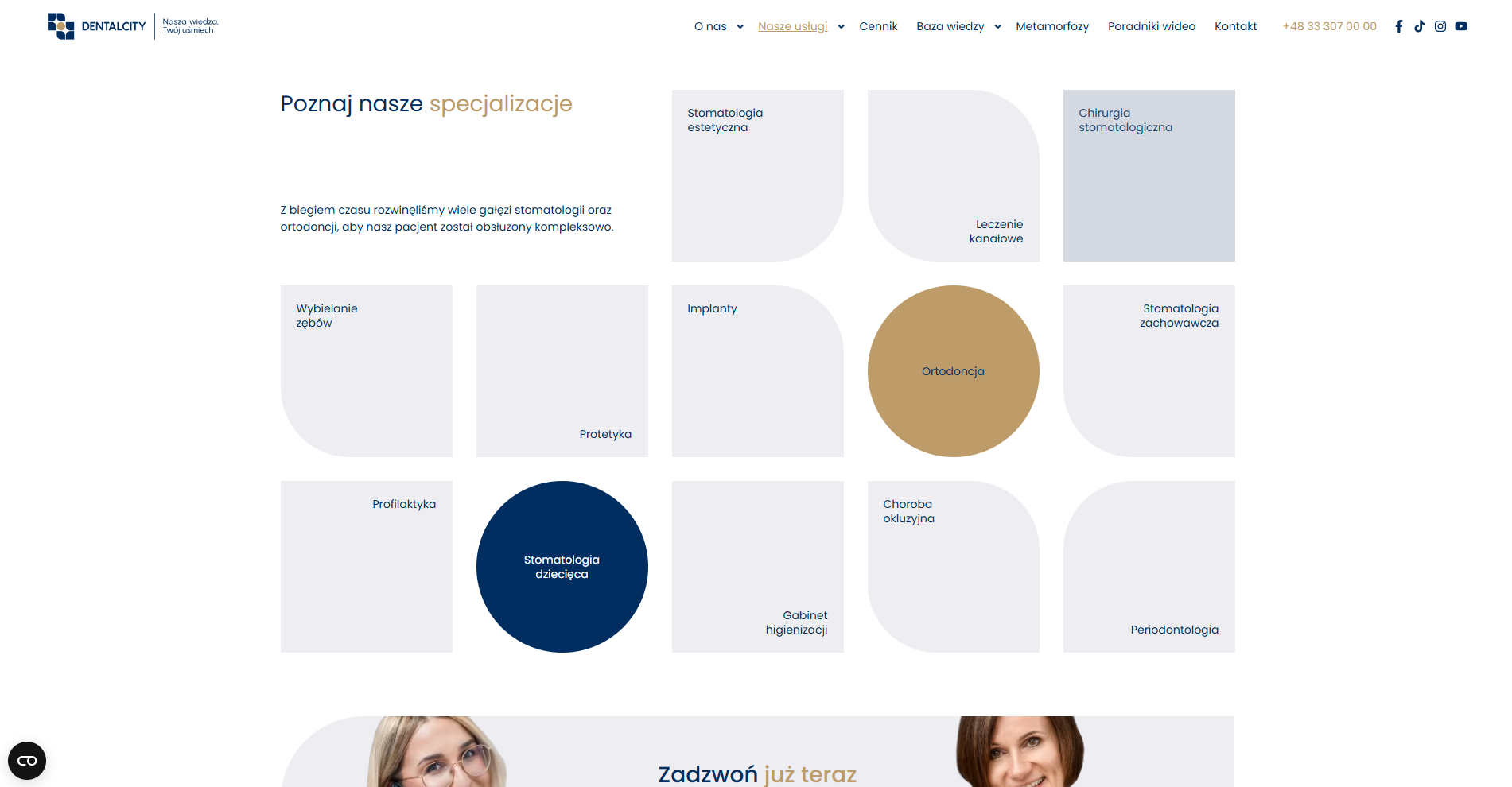Dentalcity - strona www