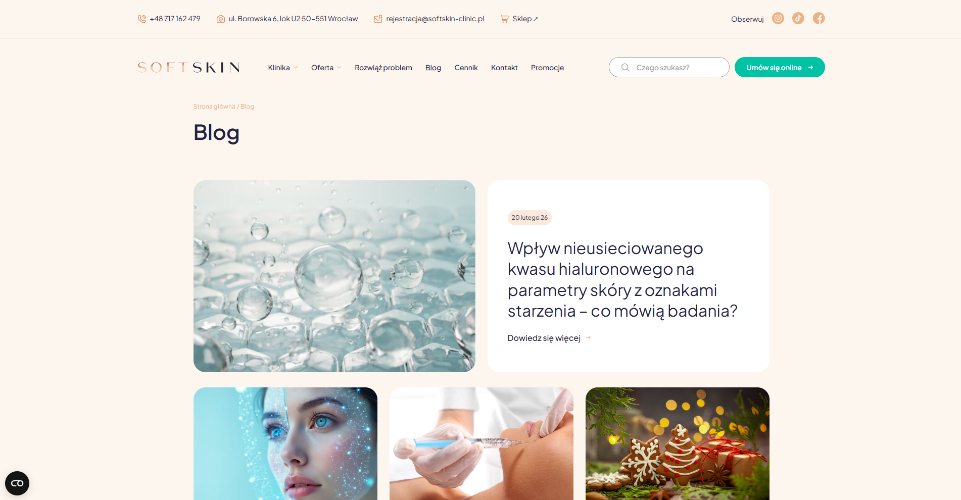 softskin - strona www